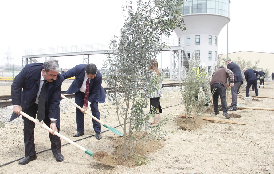 Tree planting campaign organized within the "Heydar Aliyev Year"