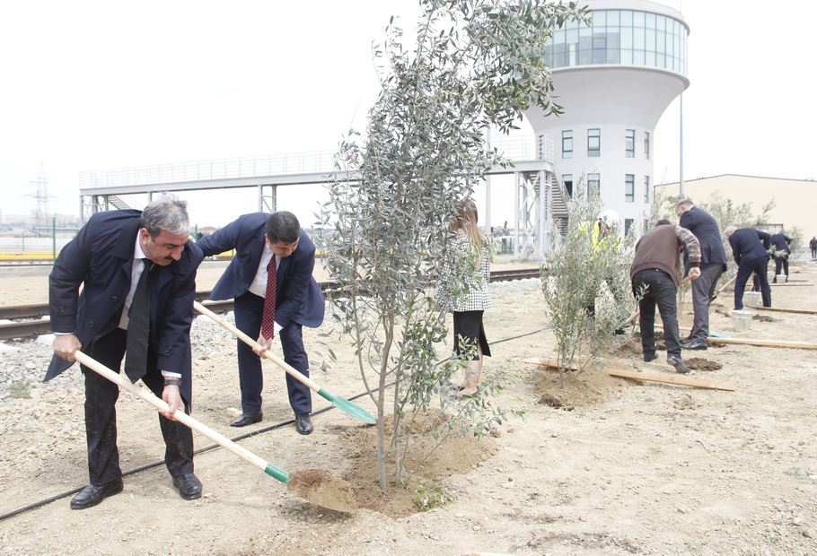 Tree planting campaign organized within the "Heydar Aliyev Year"